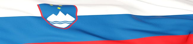 EM 2024 Fodbold - Slovenien - Analyse