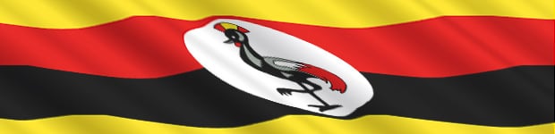 Stjerneløse Uganda kan drille de store