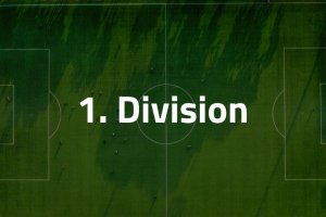 1. Division