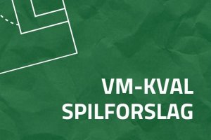 VM-kval