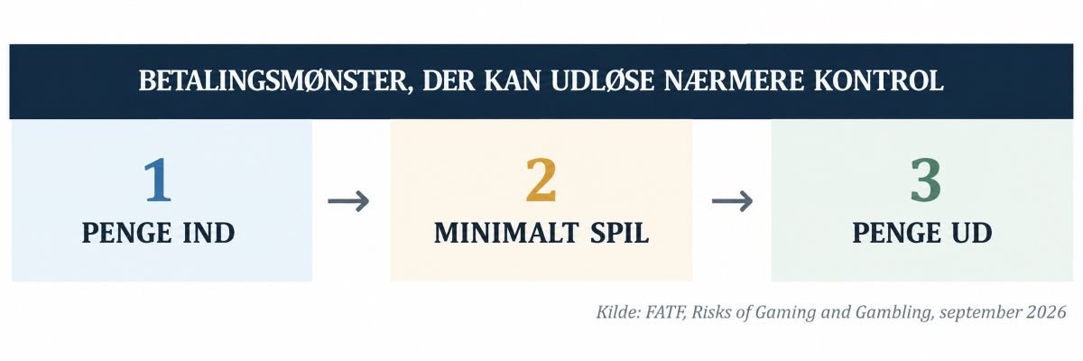 Betalingsmønster